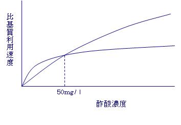 増殖曲線１.JPG