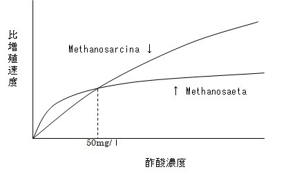 増殖曲線2.jpg