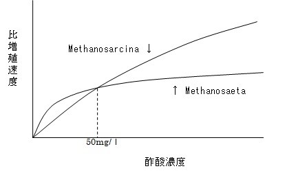 増殖曲線２.jpg