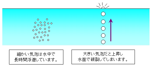 気泡の大きさ.jpg